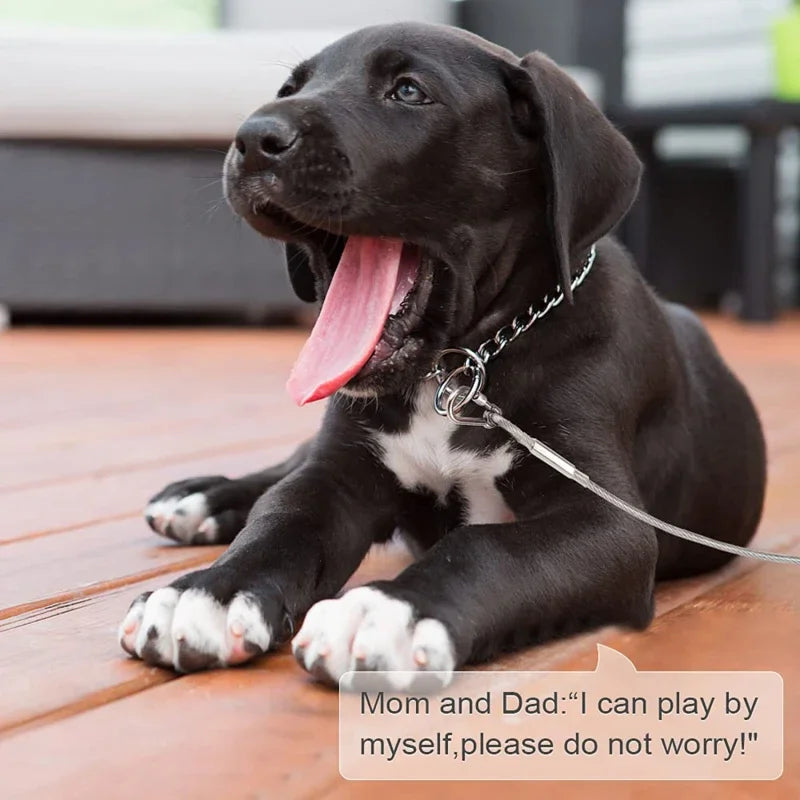 Double-Headed Dog Tie-Out Cable Leash – Heavy-Duty Outdoor Steel Wire with Metal Buckles