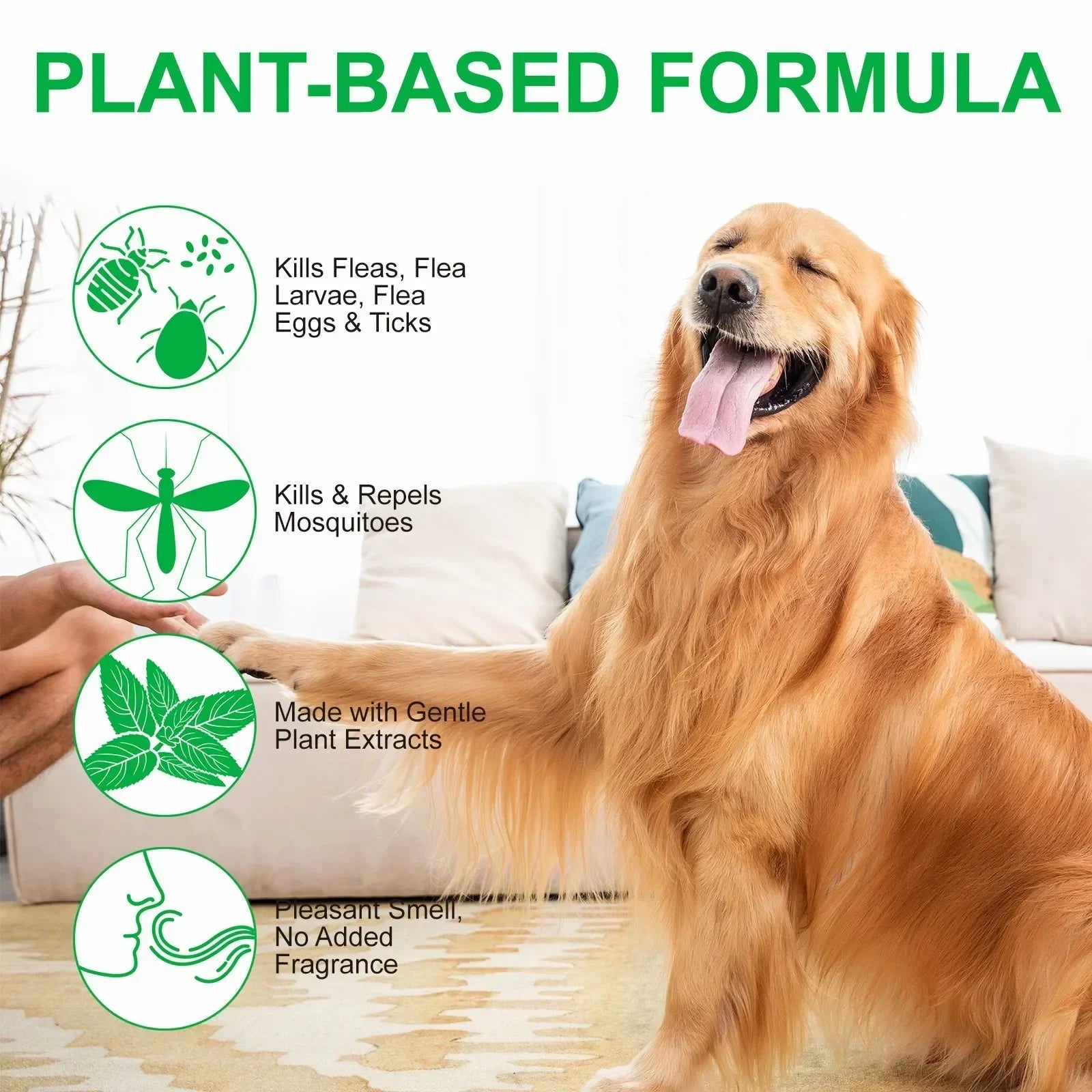 Natural Flea & Tick Spray for Dogs & Cats