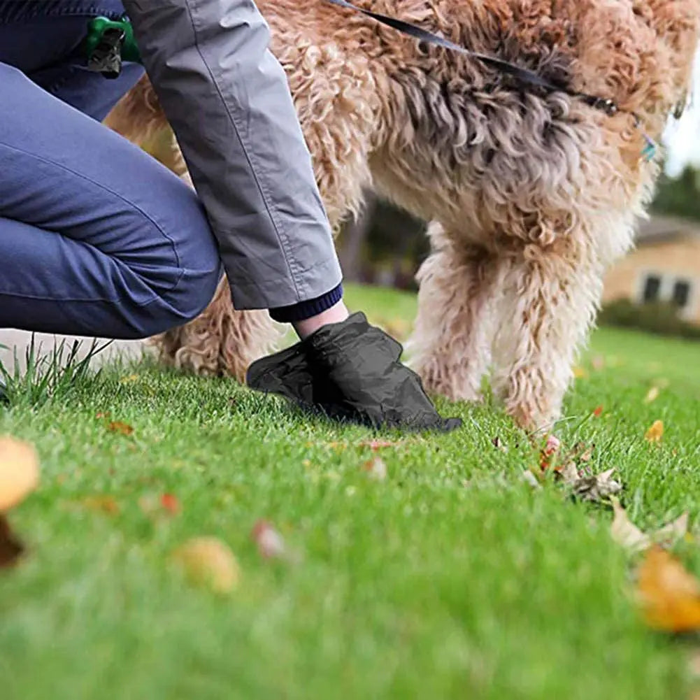 Portable Printed Pet Poop Bags for Dog Walking