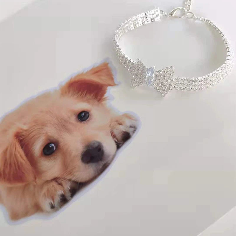Zircon Bow Tie Pet Collar, Adjustable Rose Gold Dog & Cat Necklace with Gift Box