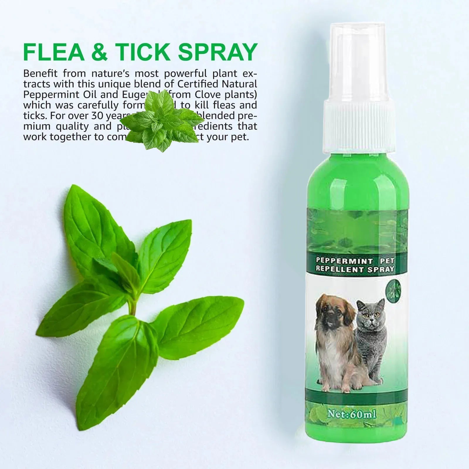 Natural Flea & Tick Spray for Dogs & Cats