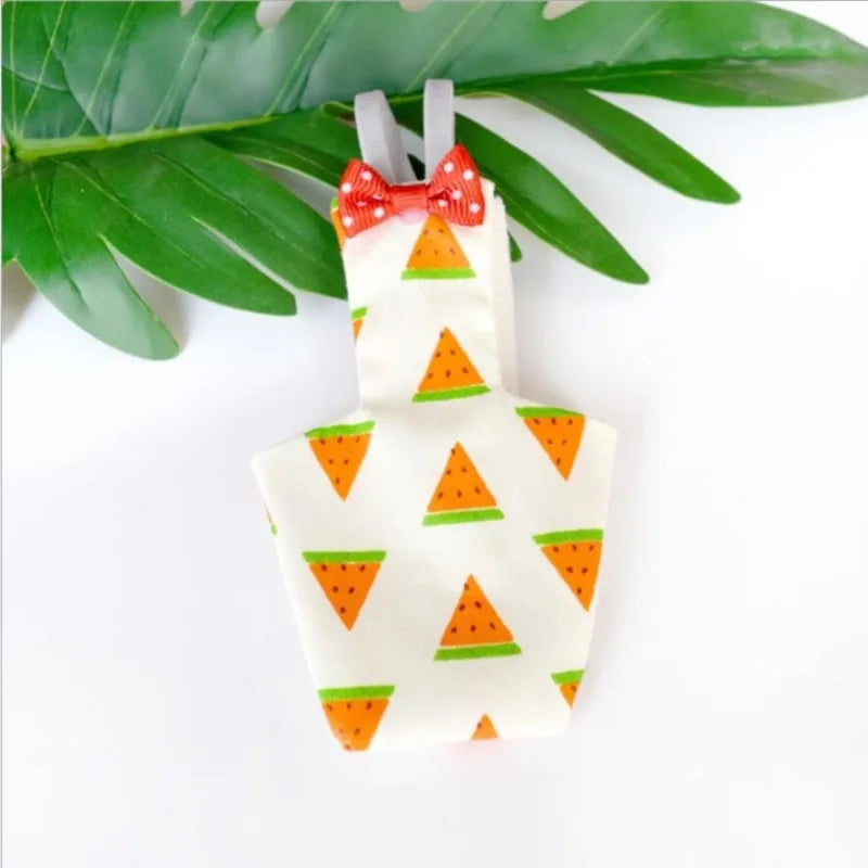 Colorful Parrot Diaper with Bowtie — Washable Flight Suit for Small to Large Pet Birds