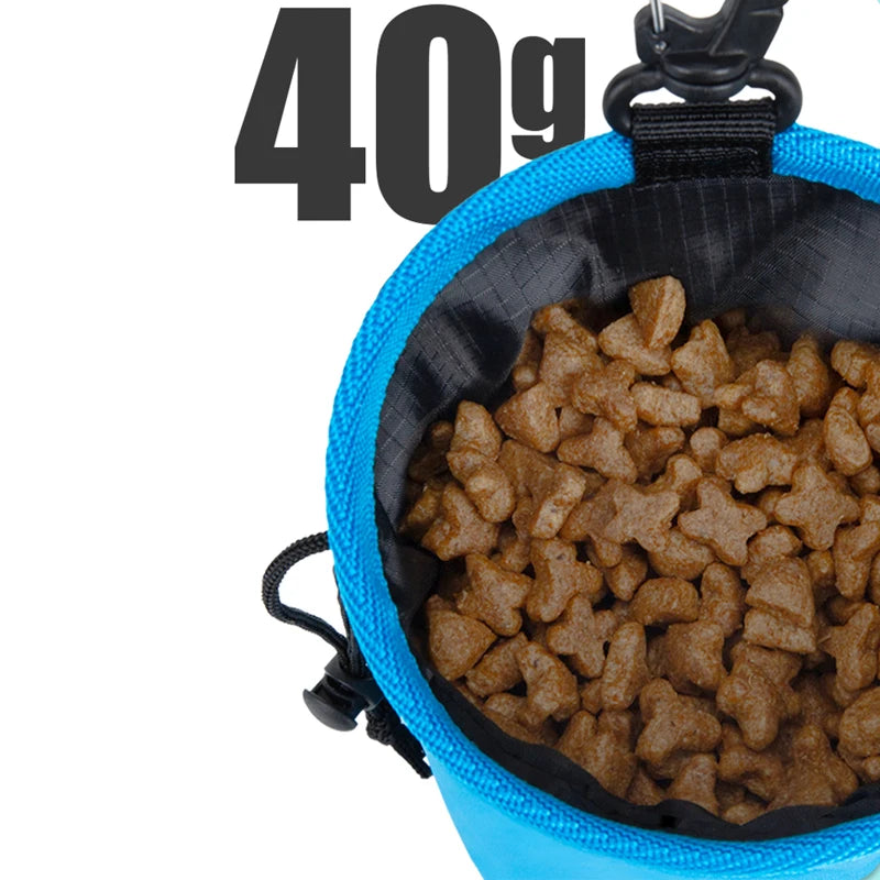 Portable Dog Training Treat Bag