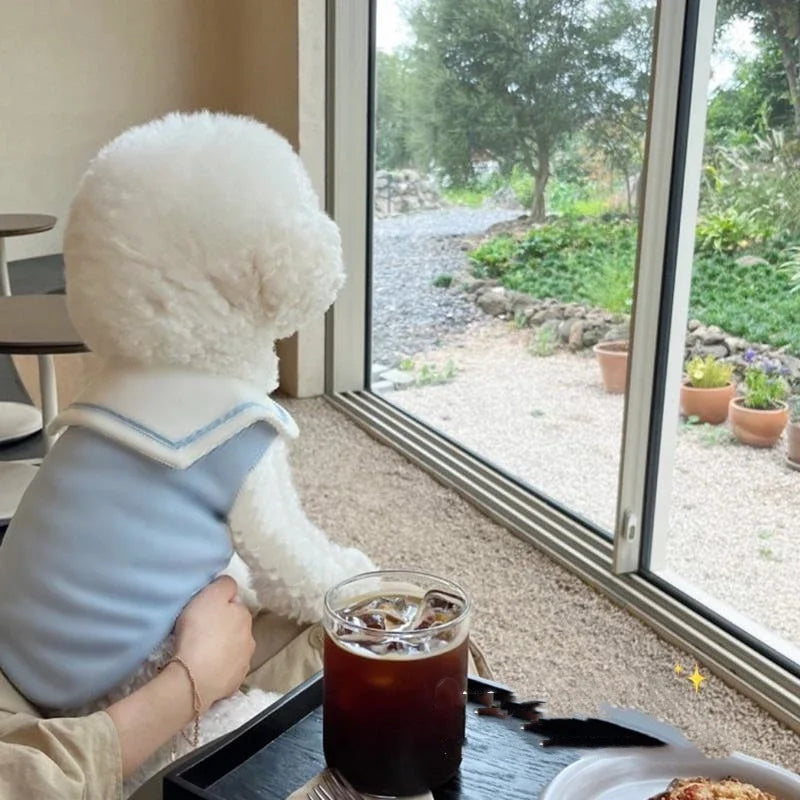 Striped Polo Shirt for Small & Medium Dogs, Puppy T-Shirt Vest