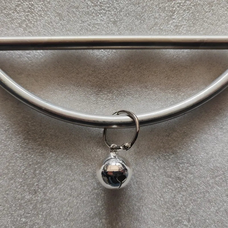 Stainless Steel Parrot Swing