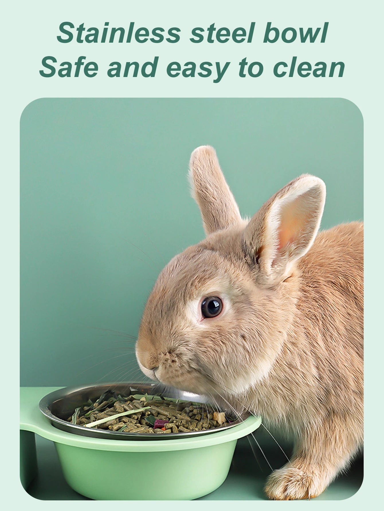 All-in-One Raised Food Bowl & Water Dispenser for Small Pets