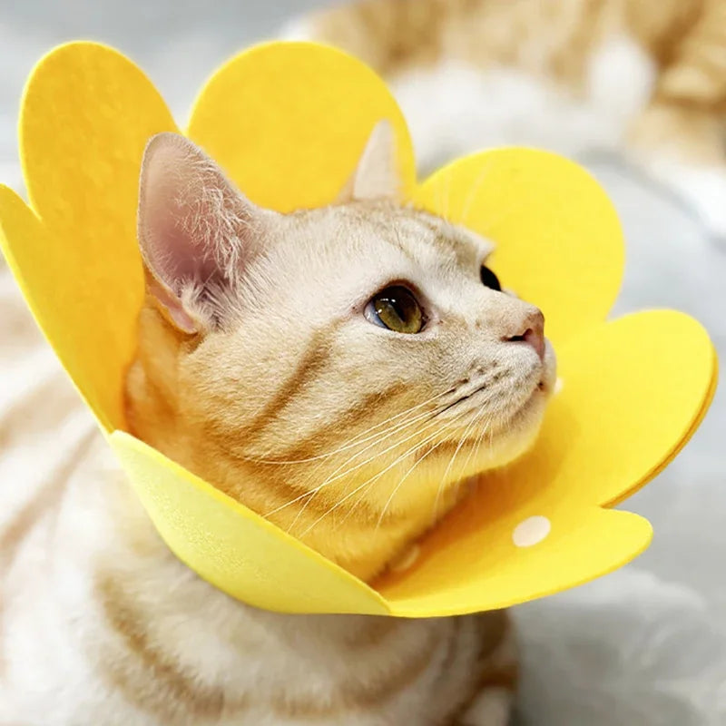 Pet Recovery Cone Collar — Anti-Bite & Lick Protective Neck Cone
