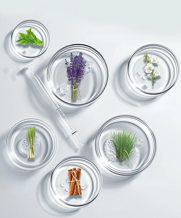 Bird Mite & Lice Spray – Parrot & Cage Insect Repellent