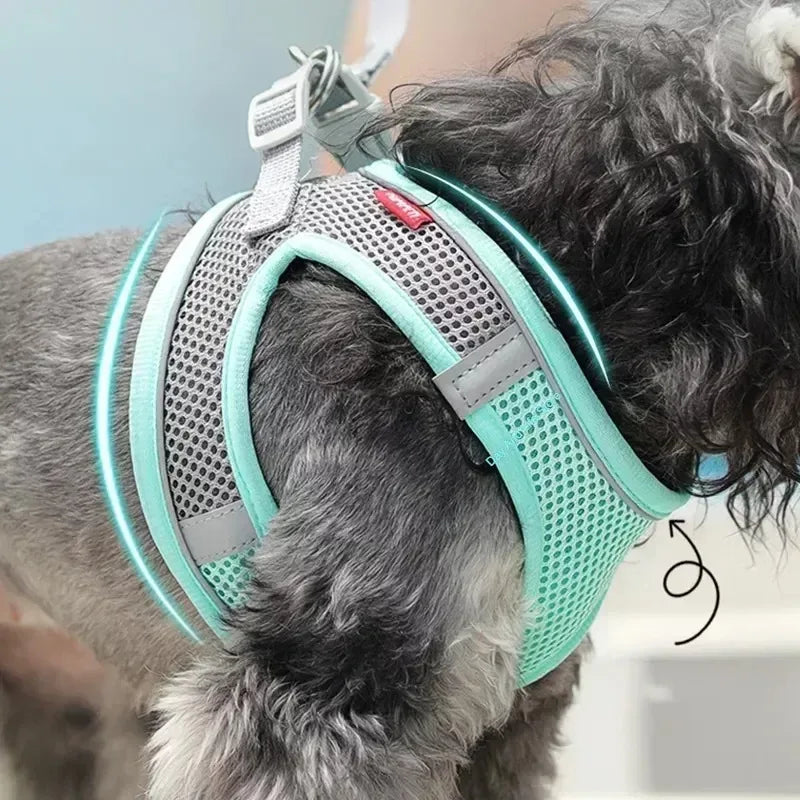 Adjustable Vest for Small Dogs & Cats