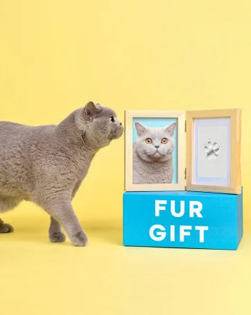 Clean Touch Paw Print Ink Pad, Pet Keepsake Kit for Dogs & Cats