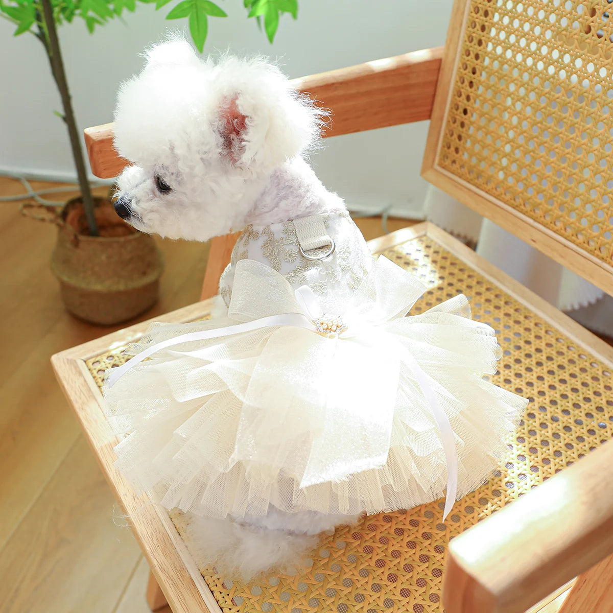 White Princess Dog Wedding Dress, Breathable Summer Outfit for Small & Medium Dogs