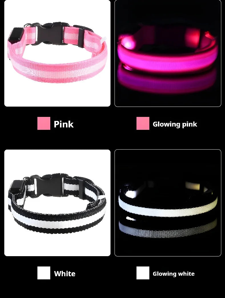 Luminous LED Dog Collar