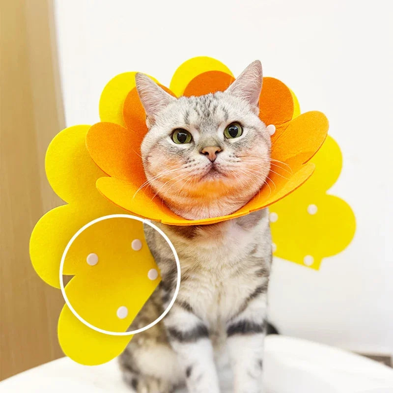 Pet Recovery Cone Collar — Anti-Bite & Lick Protective Neck Cone