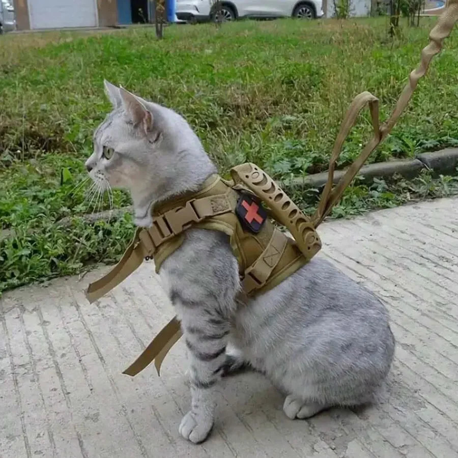 Waterproof Adjustable Outdoor Cat Vest with Chest Strap