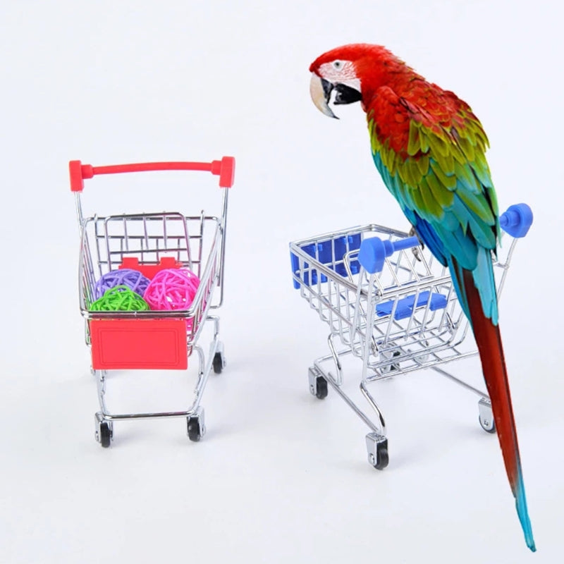 4-Piece Parrot Toy Set with Basketball, Skateboard, Stacking Toy & Trolley