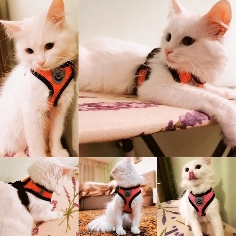 Breathable Mesh Pet Harness & Leash Set