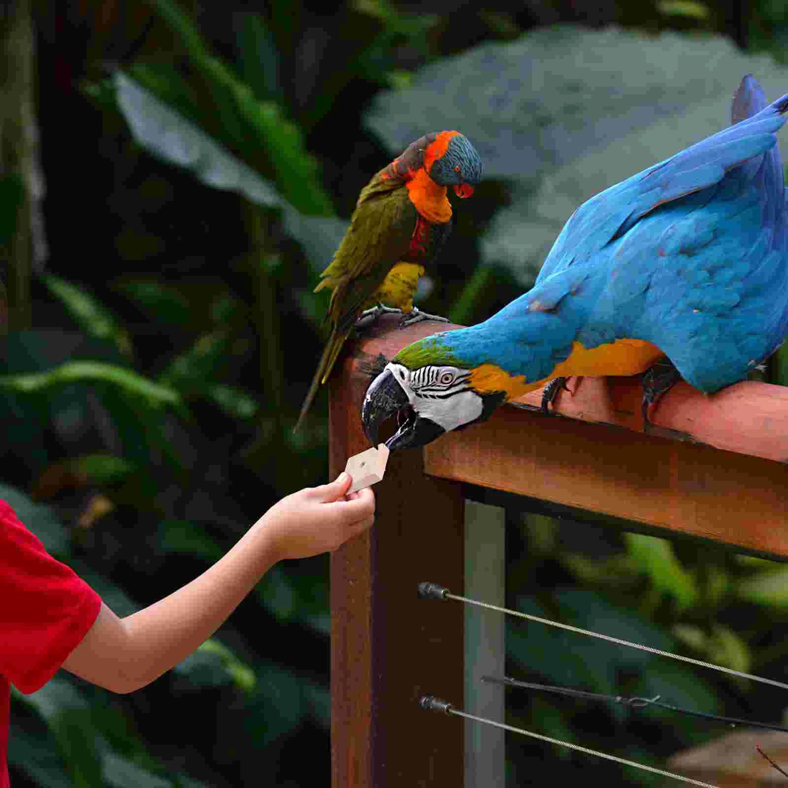 Chewing & Feeder Wooden Toys for Large Birds & Macaws