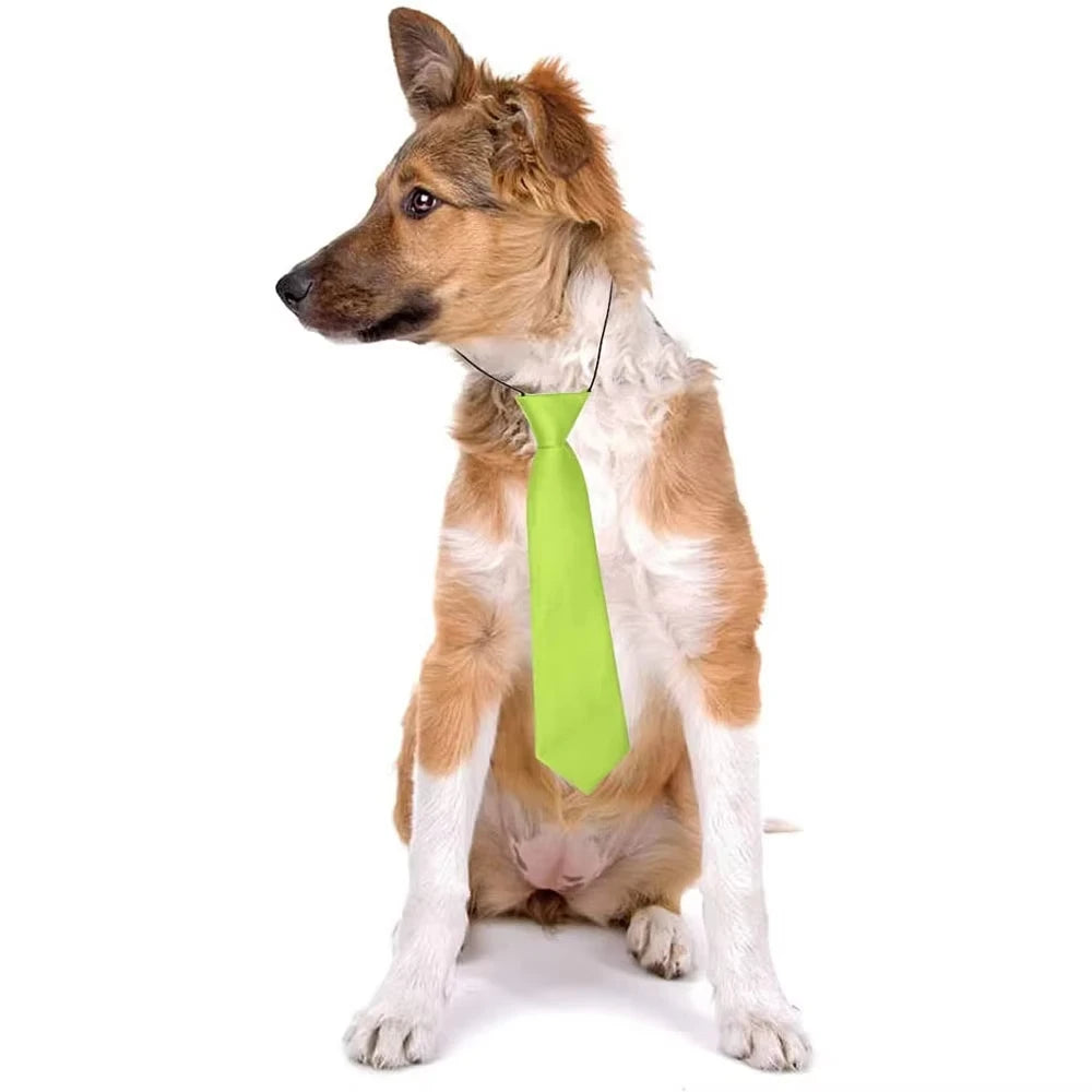 25/50pcs Elastic Dog Bow Ties
