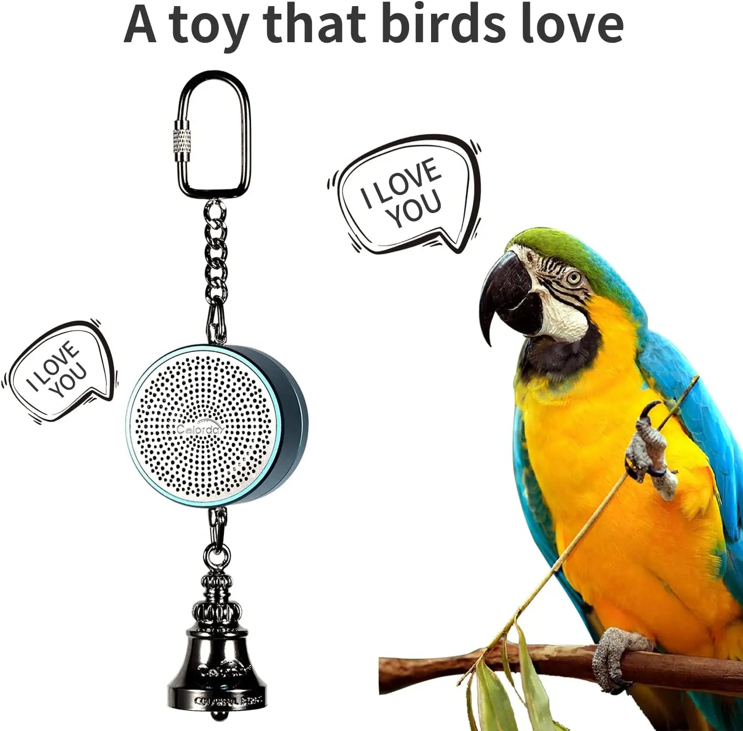 Interactive Talking Training Toy for Parrots — Voice Recording & Playback