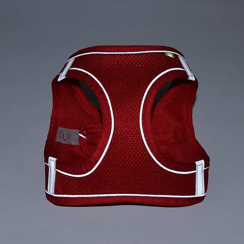 Adjustable Vest for Small Dogs & Cats