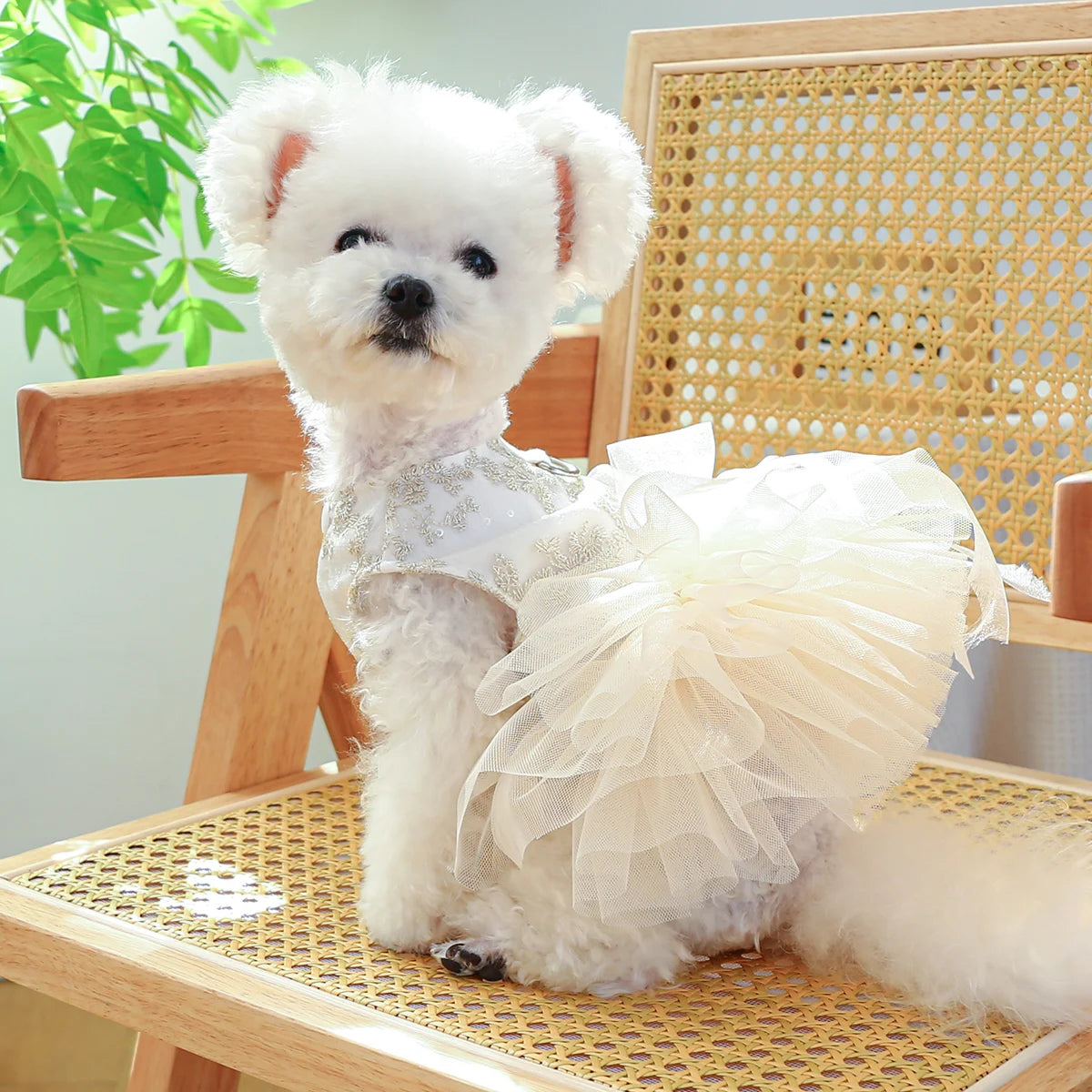 White Princess Dog Wedding Dress, Breathable Summer Outfit for Small & Medium Dogs