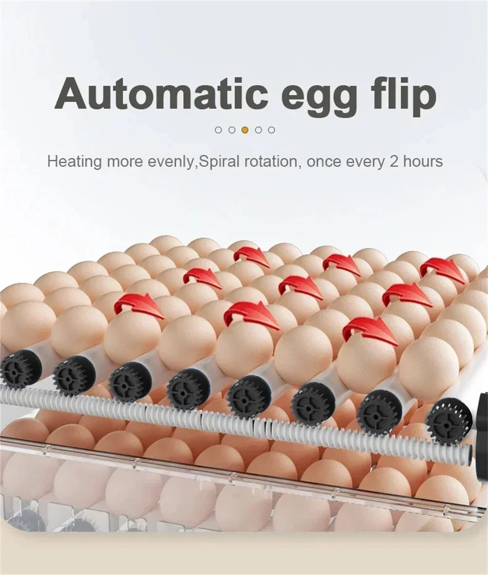 12/15/24 Egg Automatic Poultry Incubator with Waterbed & Temperature Control