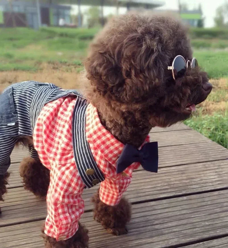 Cute Pet Sunglasses – UV Protection for Small Dogs, Cats & Photo Props