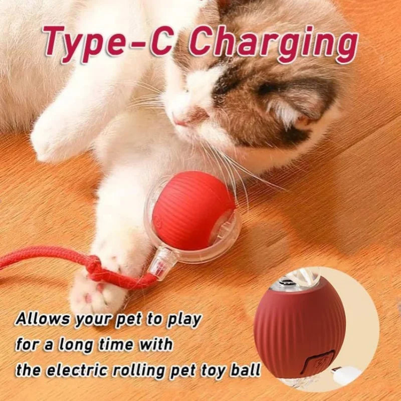 Rechargeable Smart Rolling Pet Toy Ball
