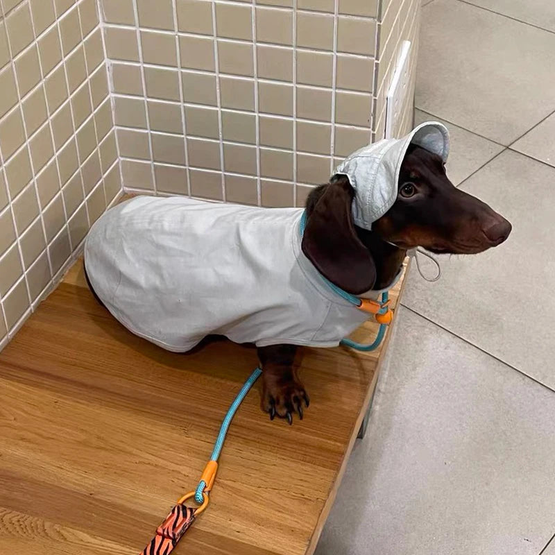 Summer T-Shirt for Dachshunds, Soft Grey Short Sleeve Vest for Wiener Dogs