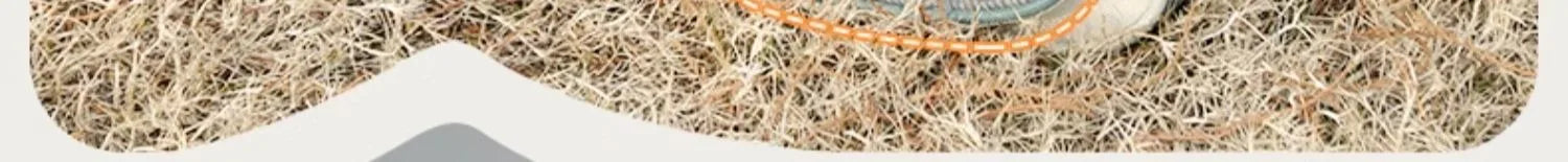 Extra Large Foldable Pet Trolley Case, Detachable Travel Carrier for Dogs & Cats