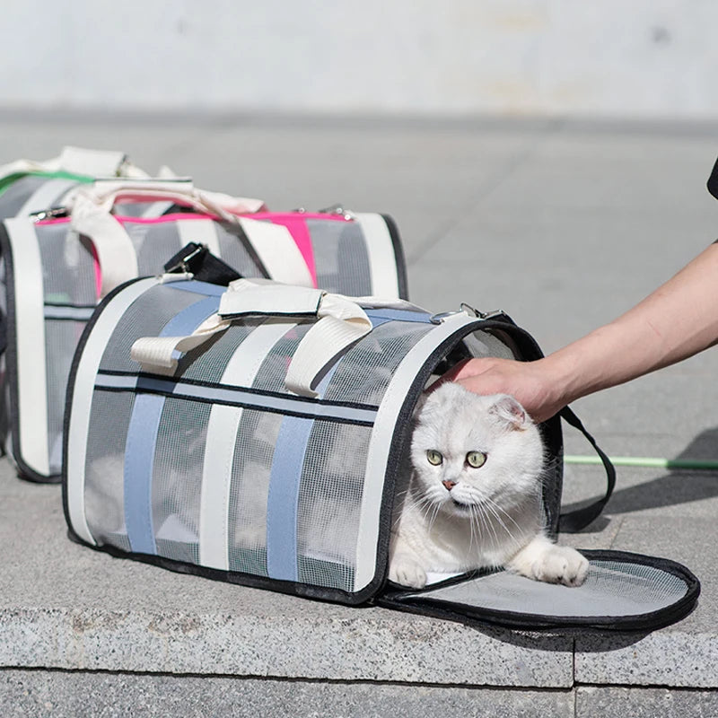 Foldable Portable Pet Carrying Handbag, Mesh Travel Cage for Small & Medium Dogs and Cats
