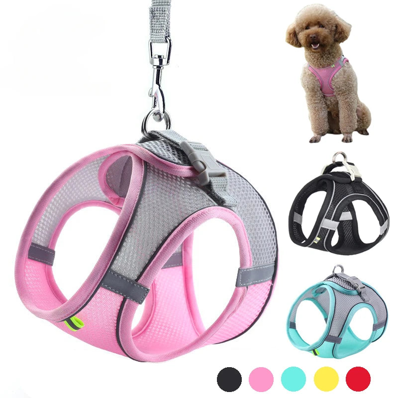 Adjustable Vest for Small Dogs & Cats
