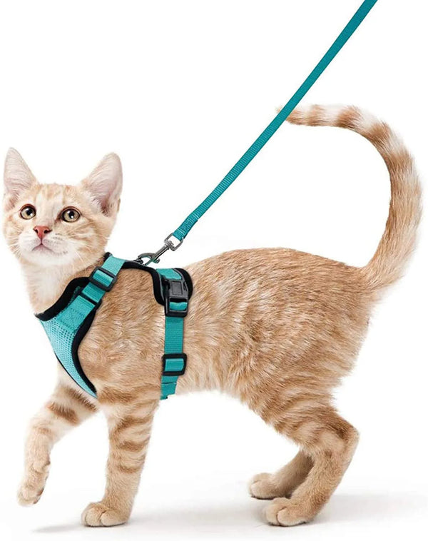 Escape-Proof Cat Harness & Leash Set