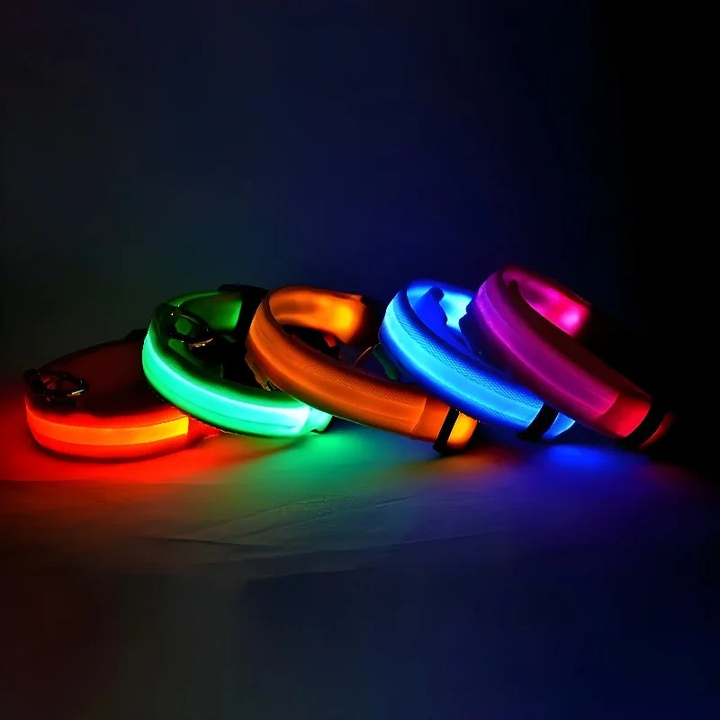 Luminous LED Dog Collar