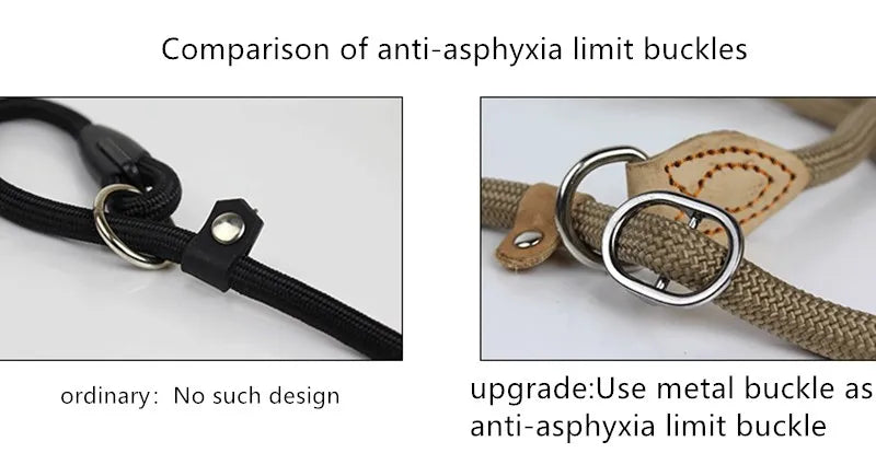 Heavy-Duty Slip Rope Dog Leash – for Medium & Large Dogs