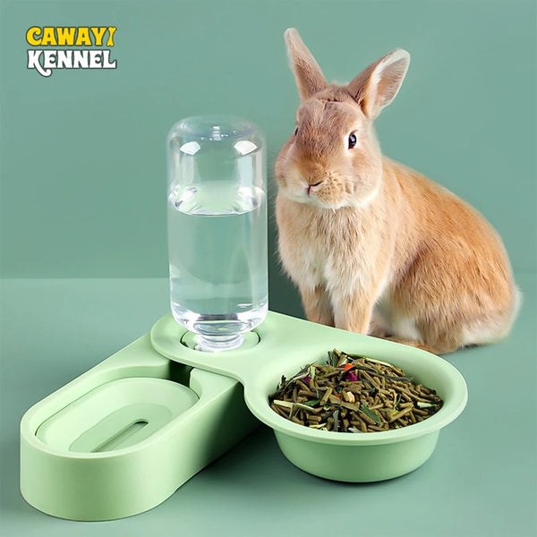 All-in-One Raised Food Bowl & Water Dispenser for Small Pets