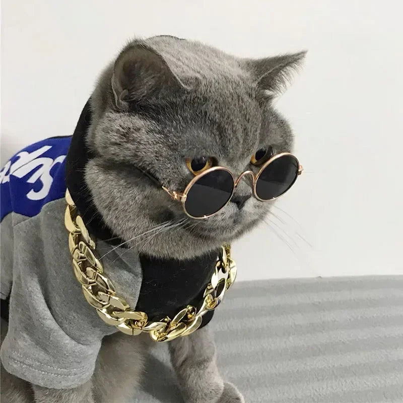 Cute Pet Sunglasses – UV Protection for Small Dogs, Cats & Photo Props