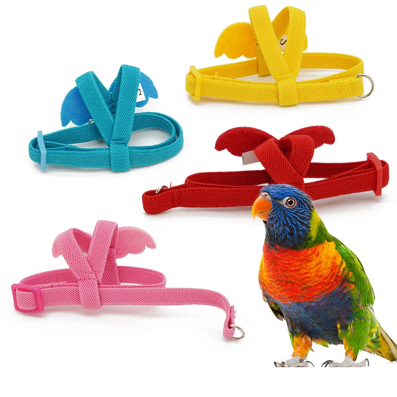 Long Cable Bird Harness & Leash