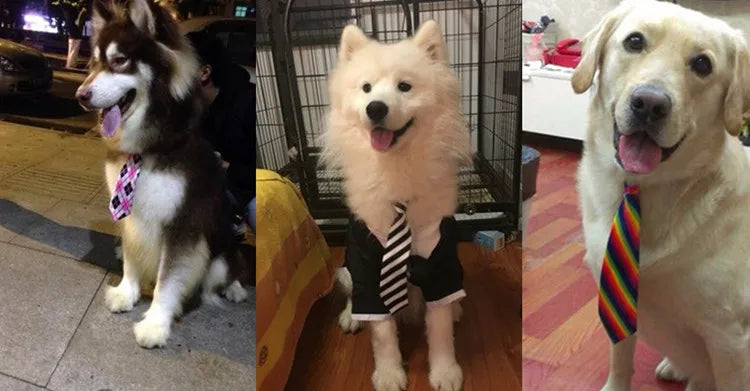 50/100pcs Adjustable Large Dog Neckties