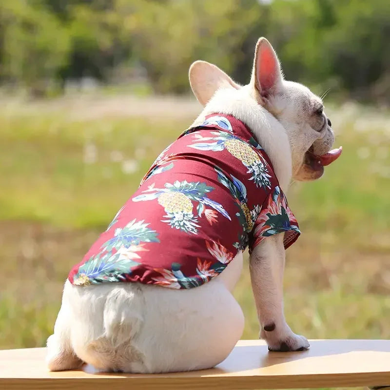 Hawaiian Style Summer Dog Shirt, Beachwear for Small & Medium Dogs, Puppies, and Cats
