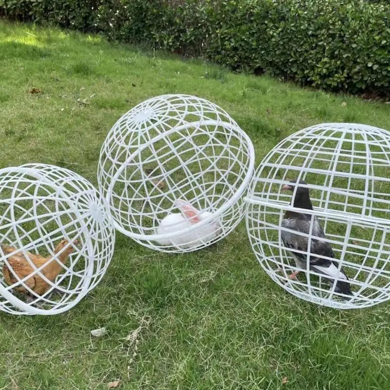 3-Piece Chicken Rolling Safety Ball Cages for Small Pets