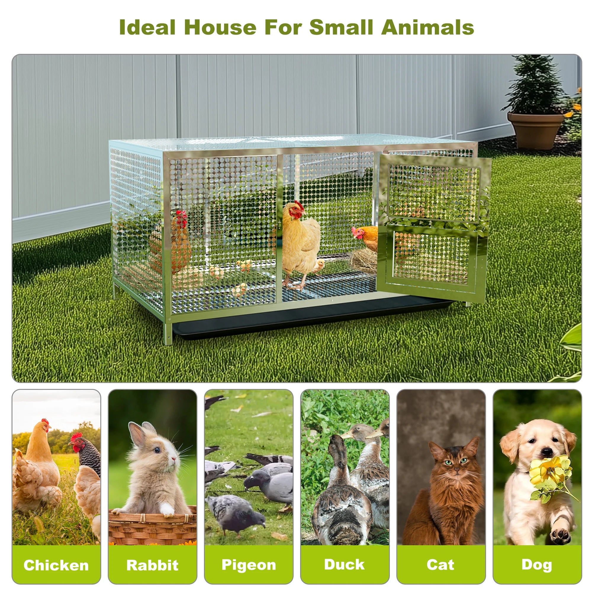 Heavy-Duty Stainless Steel Chicken Coop
