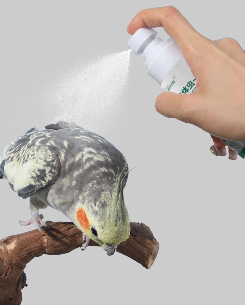 Bird Mite & Lice Spray – Parrot & Cage Insect Repellent