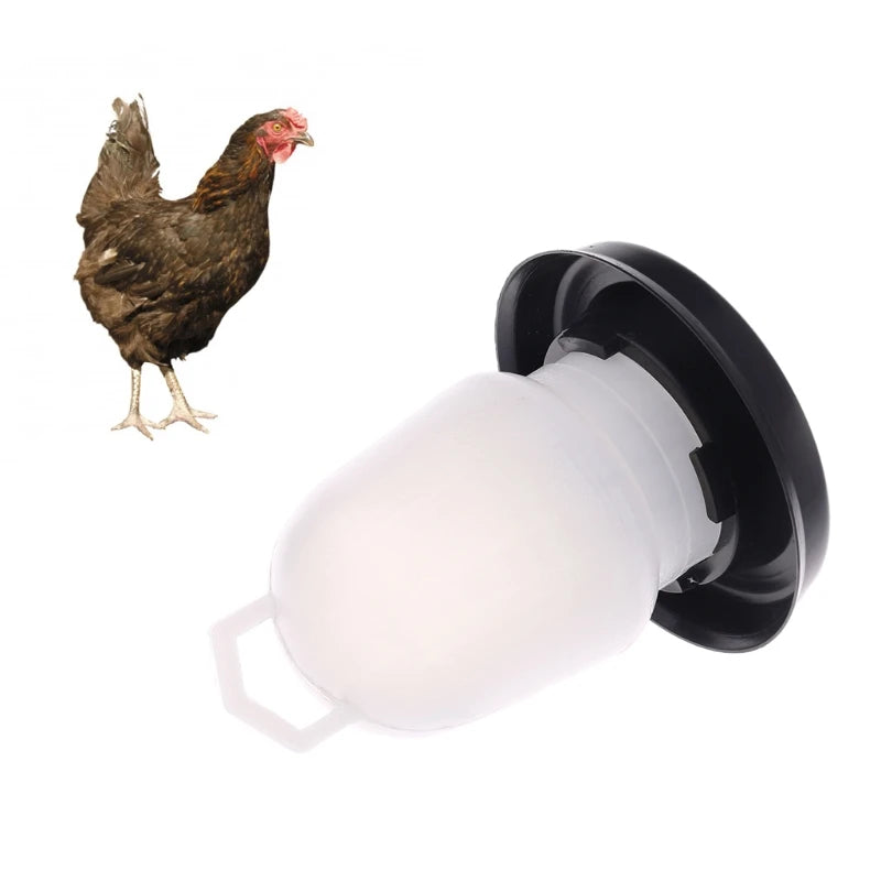 Baby Chick Waterer & Feeder for Pet Chickens