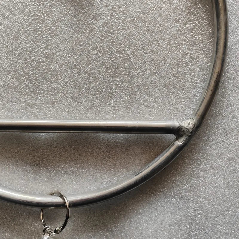 Stainless Steel Parrot Swing
