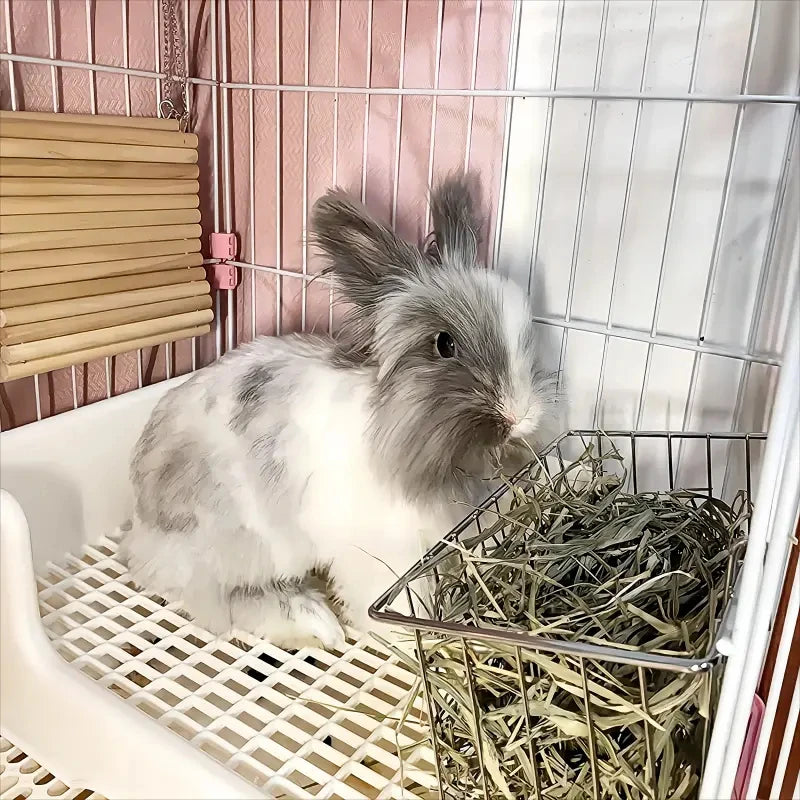 Rabbit Hay Feeder Basket & Grass Rack for Small Pets