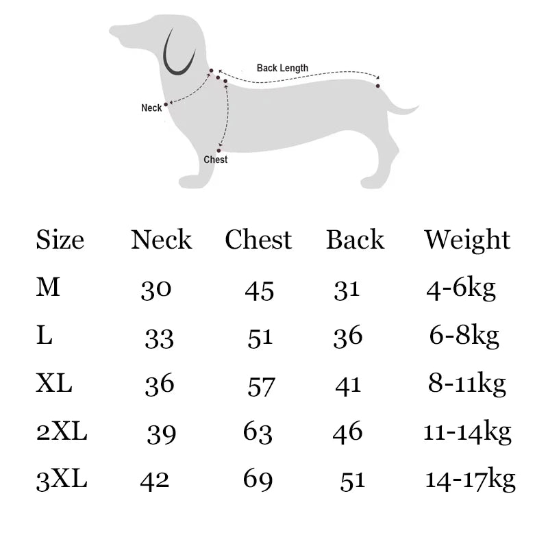 Summer T-Shirt for Dachshunds, Soft Grey Short Sleeve Vest for Wiener Dogs