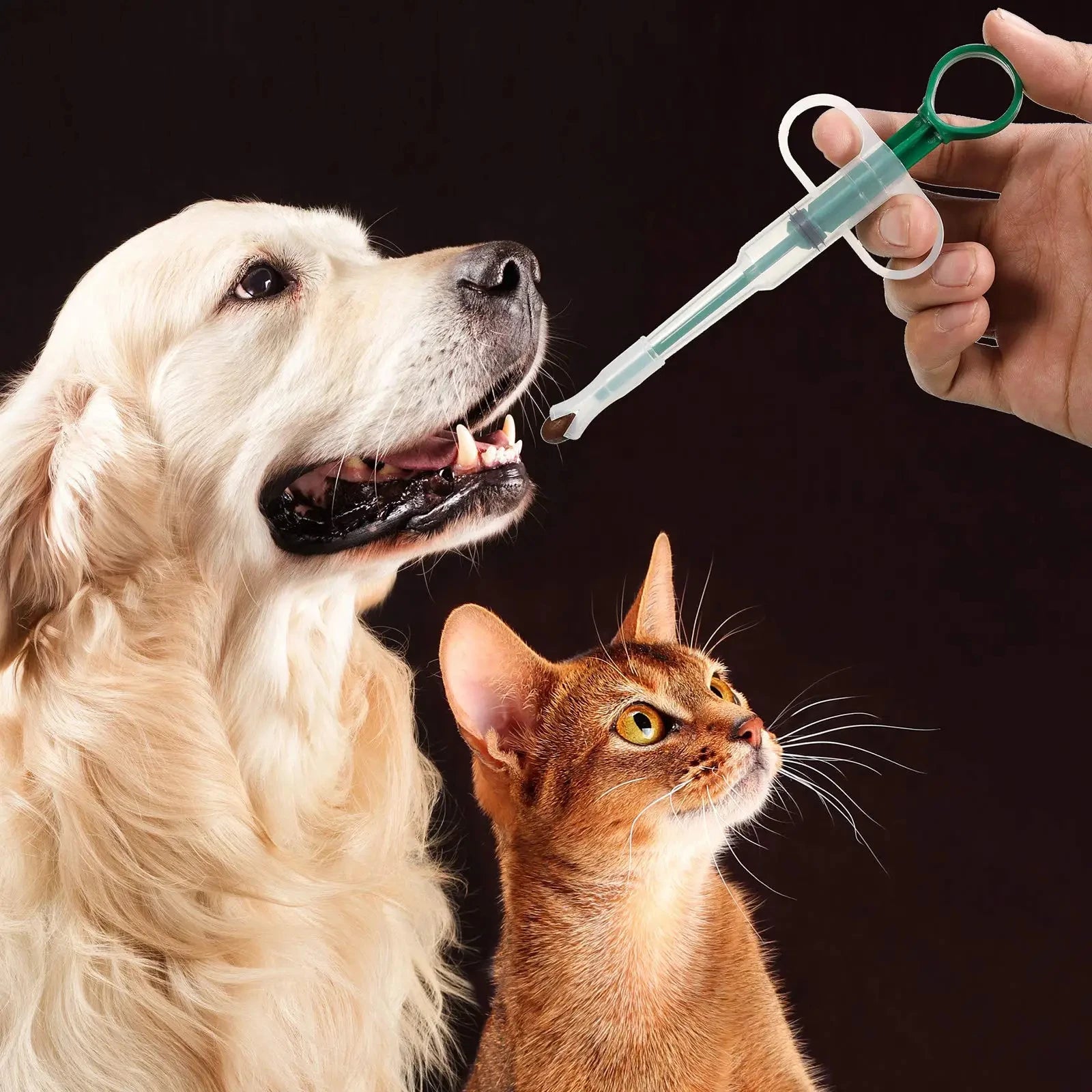 Pet Medication Dispenser Stick, Pill Feeder Tool for Cats & Dogs