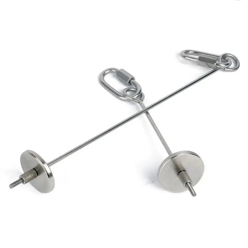Stainless Steel Bird Fruit Skewer