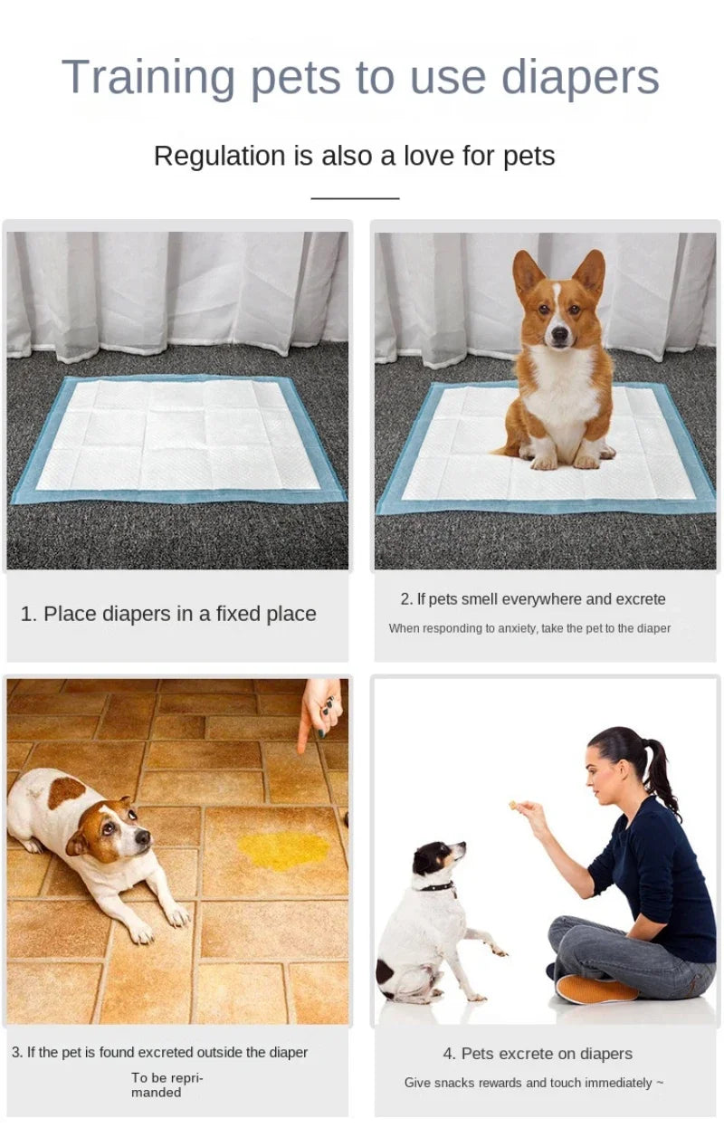 Disposable Absorbent Dog Diapers & Puppy Training Pads